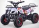 КВАДРОЦИКЛ HAMER BRUTE 65CC