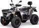КВАДРОЦИКЛ LINHAI M565LI EFI