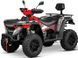 КВАДРОЦИКЛ LINHAI M565LI EFI